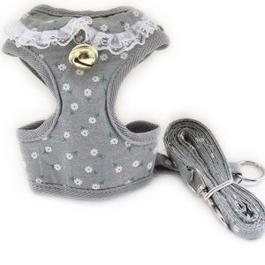 Dog Harness & matching leash